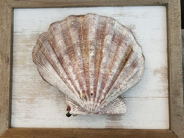 Tea Time shell - Image 4